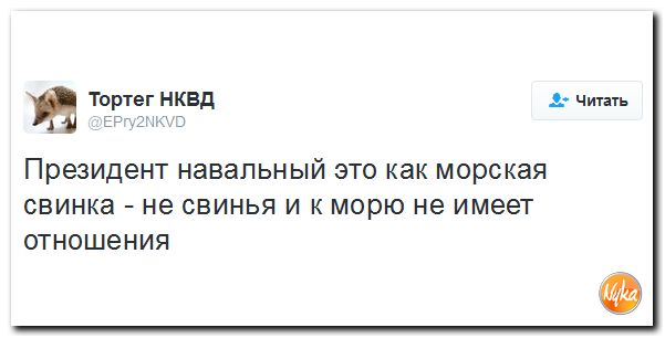 "Мыздобулы" в картинках. Смешных и не очень... 18-11-2016