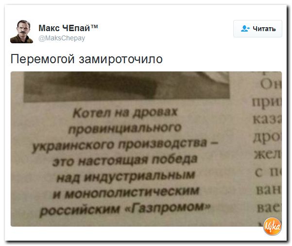 "Мыздобулы" в картинках. Смешных и не очень... 18-11-2016