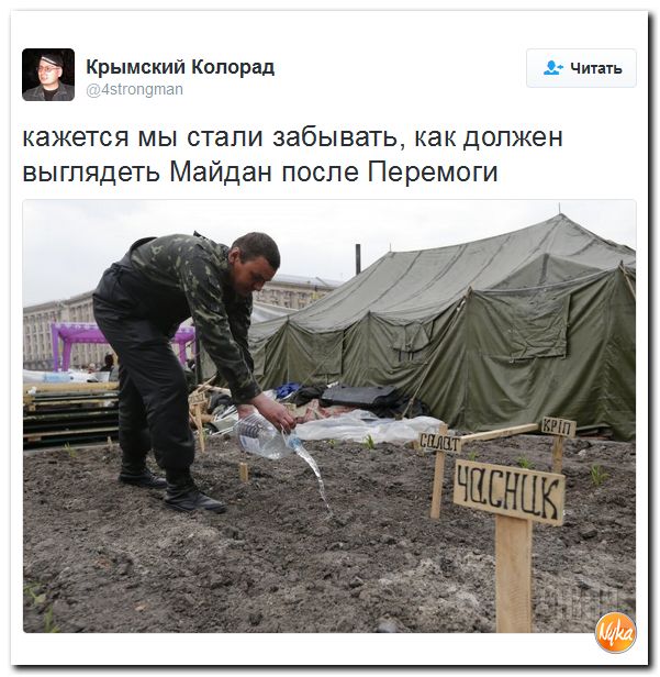 "Мыздобулы" в картинках. Смешных и не очень... 18-11-2016