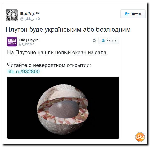 "Мыздобулы" в картинках. Смешных и не очень... 18-11-2016