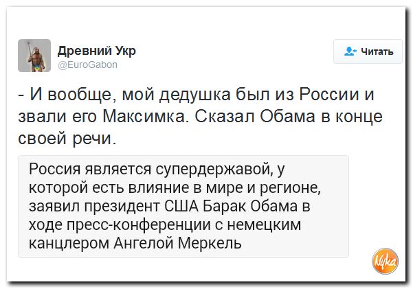 "Мыздобулы" в картинках. Смешных и не очень... 18-11-2016