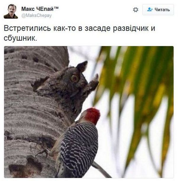 "Мыздобулы" в картинках. Смешных и не очень... 18-11-2016