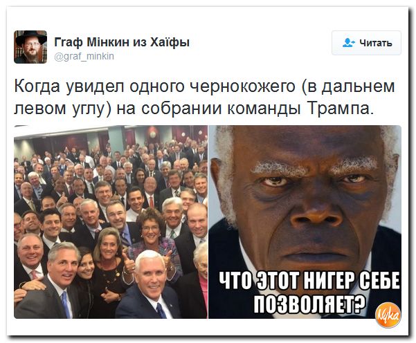 "Мыздобулы" в картинках. Смешных и не очень... 18-11-2016