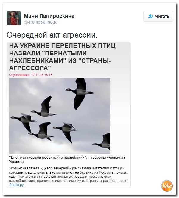 "Мыздобулы" в картинках. Смешных и не очень... 18-11-2016