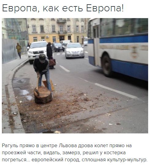 "Мыздобулы" в картинках. Смешных и не очень... 20-11-2016 "Мыздобулы" в картинках. Смешных и не очень... 20-11-2016