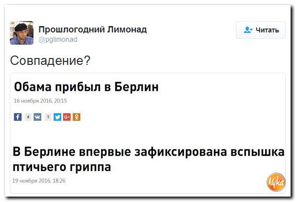 "Мыздобулы" в картинках. Смешных и не очень... 20-11-2016 "Мыздобулы" в картинках. Смешных и не очень... 20-11-2016