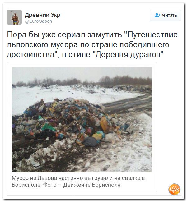 "Мыздобулы" в картинках. Смешных и не очень... 20-11-2016 "Мыздобулы" в картинках. Смешных и не очень... 20-11-2016