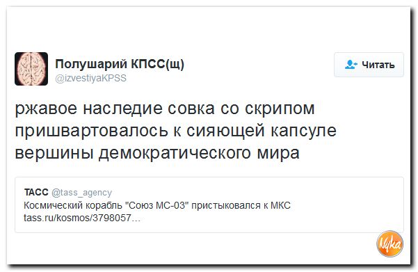 "Мыздобулы" в картинках. Смешных и не очень... 20-11-2016 "Мыздобулы" в картинках. Смешных и не очень... 20-11-2016