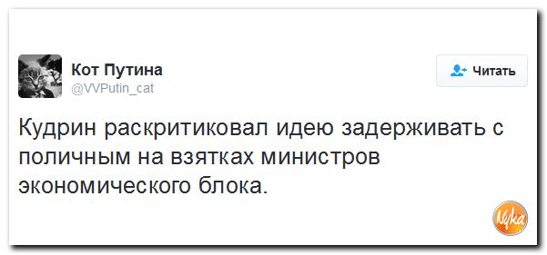 "Мыздобулы" в картинках. Смешных и не очень... 20-11-2016 "Мыздобулы" в картинках. Смешных и не очень... 20-11-2016
