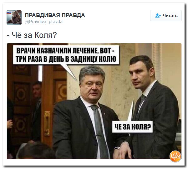 "Мыздобулы" в картинках. Смешных и не очень... 20-11-2016 "Мыздобулы" в картинках. Смешных и не очень... 20-11-2016