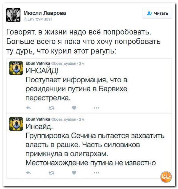 "Мыздобулы" в картинках. Смешных и не очень... 20-11-2016 "Мыздобулы" в картинках. Смешных и не очень... 20-11-2016