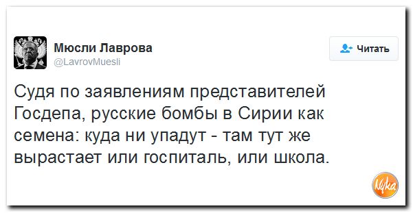 "Мыздобулы" в картинках. Смешных и не очень... 20-11-2016 "Мыздобулы" в картинках. Смешных и не очень... 20-11-2016