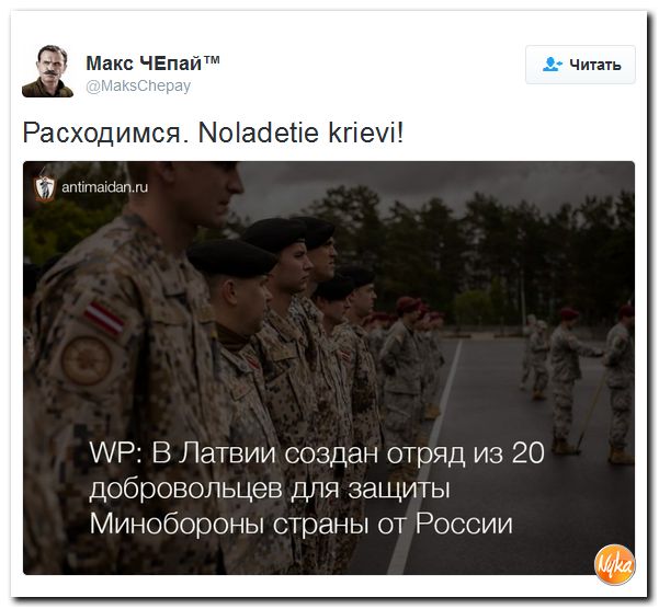 "Мыздобулы" в картинках. Смешных и не очень... 20-11-2016 "Мыздобулы" в картинках. Смешных и не очень... 20-11-2016