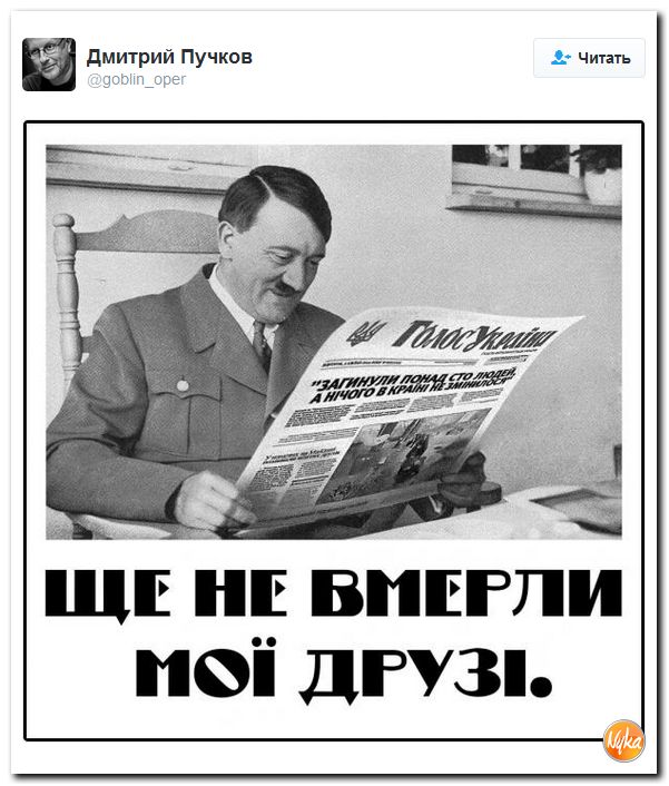 "Мыздобулы" в картинках. Смешных и не очень... 20-11-2016 "Мыздобулы" в картинках. Смешных и не очень... 20-11-2016