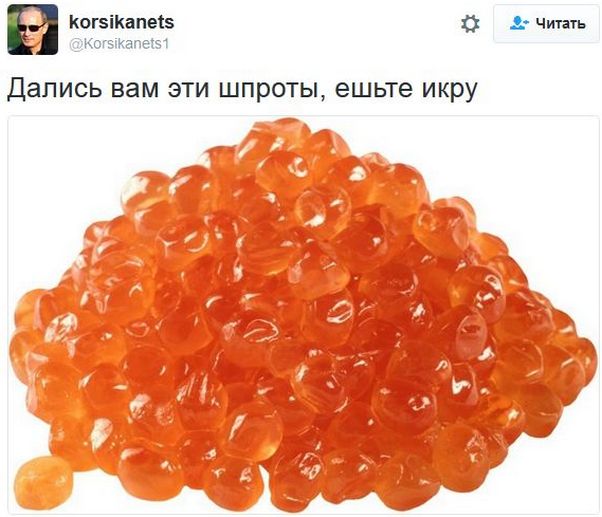 "Мыздобулы" в картинках. Смешных и не очень... 20-11-2016 "Мыздобулы" в картинках. Смешных и не очень... 20-11-2016