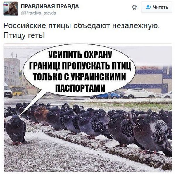 "Мыздобулы" в картинках. Смешных и не очень... 20-11-2016 "Мыздобулы" в картинках. Смешных и не очень... 20-11-2016