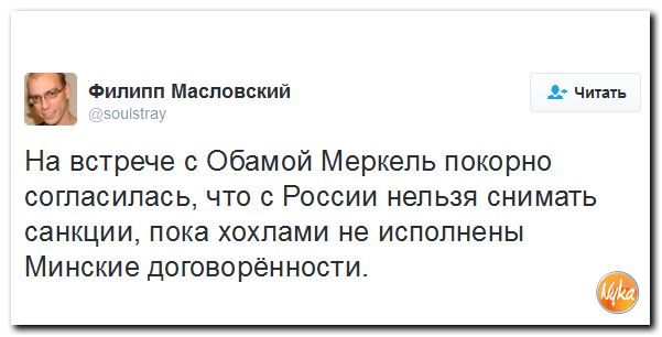 "Мыздобулы" в картинках. Смешных и не очень... 20-11-2016 "Мыздобулы" в картинках. Смешных и не очень... 20-11-2016