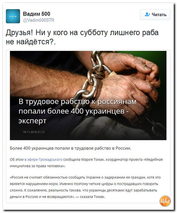 "Мыздобулы" в картинках. Смешных и не очень... 20-11-2016 "Мыздобулы" в картинках. Смешных и не очень... 20-11-2016