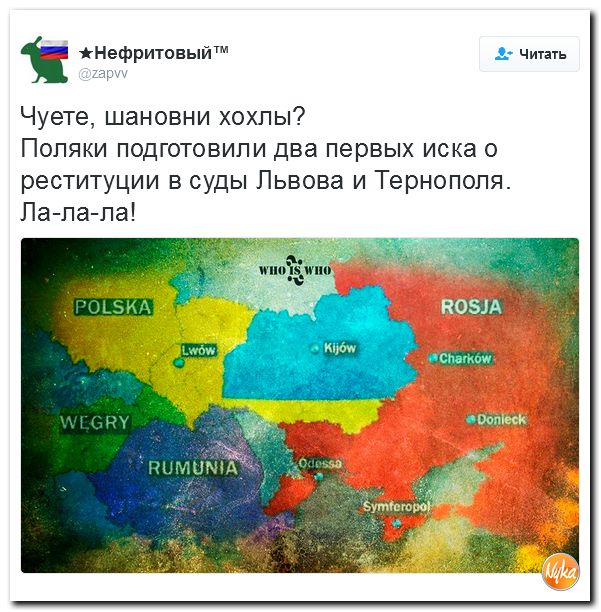 "Мыздобулы" в картинках. Смешных и не очень... 20-11-2016 "Мыздобулы" в картинках. Смешных и не очень... 20-11-2016