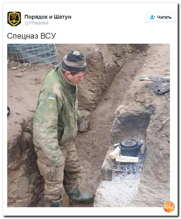 "Мыздобулы" в картинках. Смешных и не очень... 21-11-2016 "Мыздобулы" в картинках. Смешных и не очень... 21-11-2016