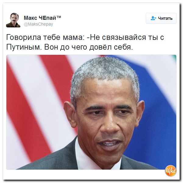 "Мыздобулы" в картинках. Смешных и не очень... 21-11-2016 "Мыздобулы" в картинках. Смешных и не очень... 21-11-2016