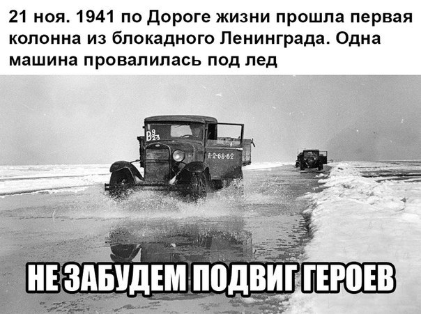 "Мыздобулы" в картинках. Смешных и не очень... 22-11-2016