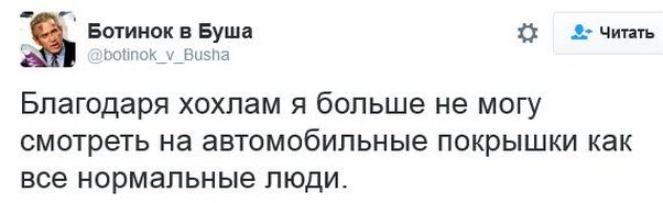 "Мыздобулы" в картинках. Смешных и не очень... 22-11-2016