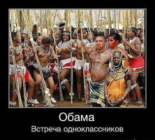 "Мыздобулы" в картинках. Смешных и не очень... 23-11-2016 "Мыздобулы" в картинках. Смешных и не очень... 23-11-2016