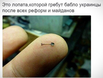 "Мыздобулы" в картинках. Смешных и не очень... 24-11-2016