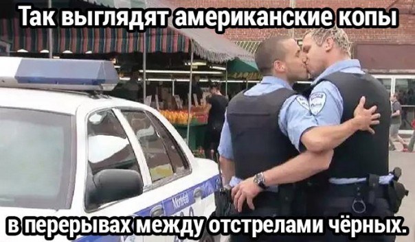 "Мыздобулы" в картинках. Смешных и не очень... 24-11-2016