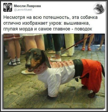 "Мыздобулы" в картинках. Смешных и не очень... 24-11-2016
