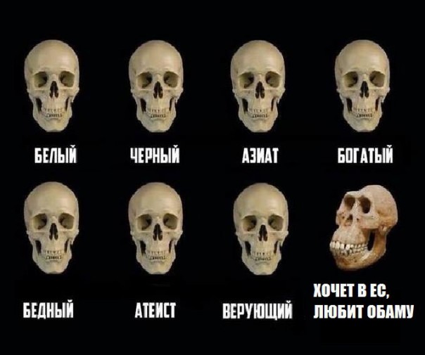 "Мыздобулы" в картинках. Смешных и не очень... 24-11-2016