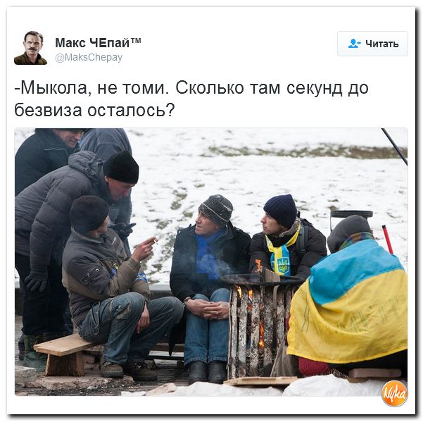 "Мыздобулы" в картинках. Смешных и не очень... 24-11-2016