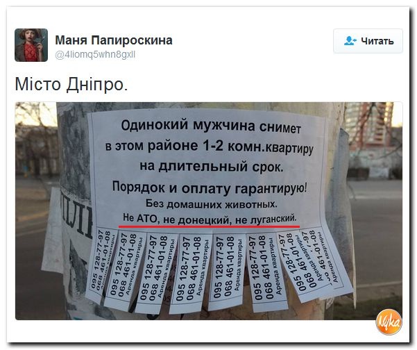 "Мыздобулы" в картинках. Смешных и не очень... 24-11-2016