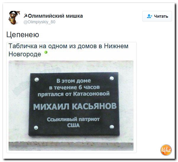 "Мыздобулы" в картинках. Смешных и не очень... 24-11-2016