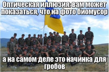 "Мыздобулы" в картинках. Смешных и не очень... 24-11-2016