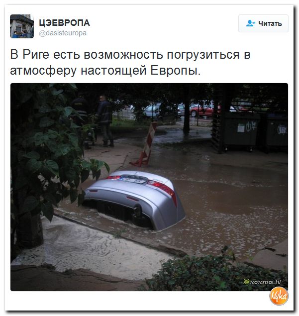 "Мыздобулы" в картинках. Смешных и не очень... 24-11-2016