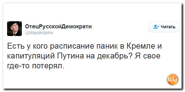 "Мыздобулы" в картинках. Смешных и не очень... 24-11-2016