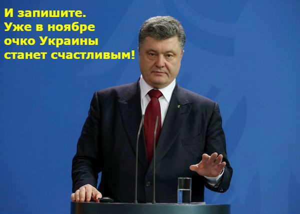 "Мыздобулы" в картинках. Смешных и не очень... 24-11-2016