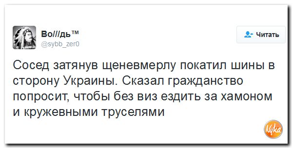"Мыздобулы" в картинках. Смешных и не очень... 24-11-2016