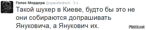 "Мыздобулы" в картинках. Смешных и не очень... 25-11-2016 "Мыздобулы" в картинках. Смешных и не очень... 25-11-2016