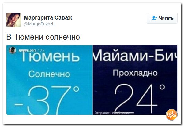 "Мыздобулы" в картинках. Смешных и не очень... 25-11-2016 "Мыздобулы" в картинках. Смешных и не очень... 25-11-2016