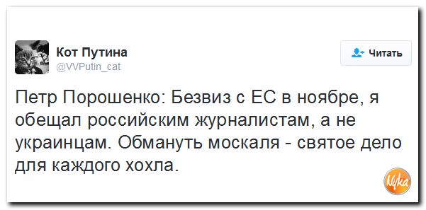 "Мыздобулы" в картинках. Смешных и не очень... 25-11-2016 "Мыздобулы" в картинках. Смешных и не очень... 25-11-2016