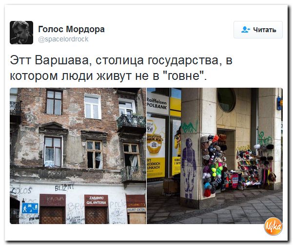 "Мыздобулы" в картинках. Смешных и не очень... 25-11-2016 "Мыздобулы" в картинках. Смешных и не очень... 25-11-2016