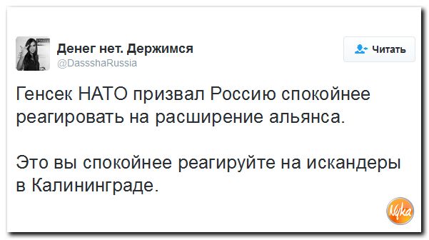 "Мыздобулы" в картинках. Смешных и не очень... 25-11-2016 "Мыздобулы" в картинках. Смешных и не очень... 25-11-2016