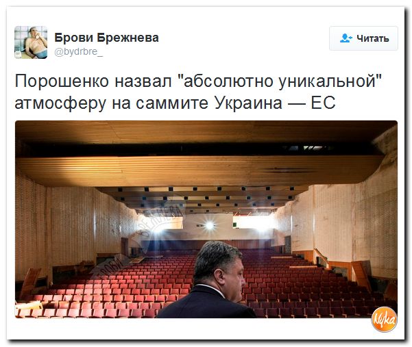 "Мыздобулы" в картинках. Смешных и не очень... 25-11-2016 "Мыздобулы" в картинках. Смешных и не очень... 25-11-2016