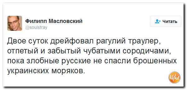 "Мыздобулы" в картинках. Смешных и не очень... 25-11-2016 "Мыздобулы" в картинках. Смешных и не очень... 25-11-2016