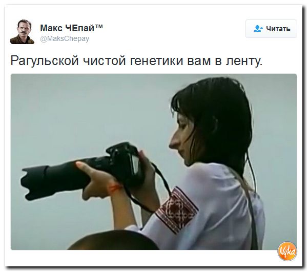 "Мыздобулы" в картинках. Смешных и не очень... 25-11-2016 "Мыздобулы" в картинках. Смешных и не очень... 25-11-2016