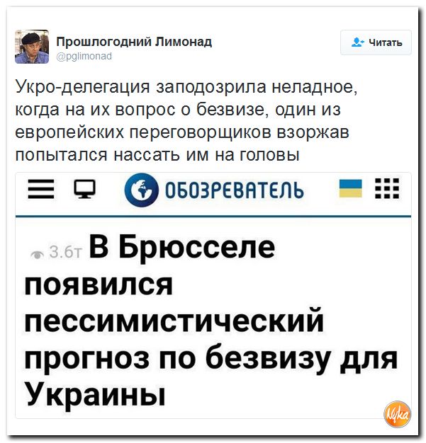 "Мыздобулы" в картинках. Смешных и не очень... 25-11-2016 "Мыздобулы" в картинках. Смешных и не очень... 25-11-2016