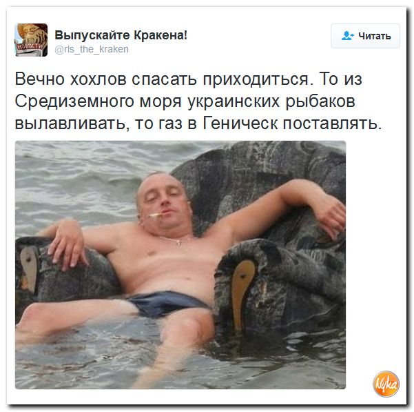 "Мыздобулы" в картинках. Смешных и не очень... 25-11-2016 "Мыздобулы" в картинках. Смешных и не очень... 25-11-2016